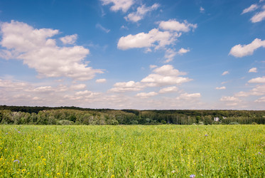 Similar image 10915539