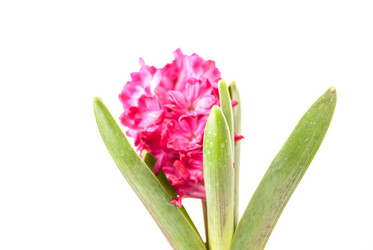 Similar image 10915541