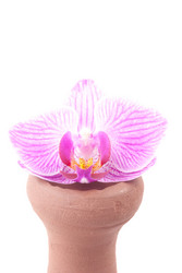 Similar image 10915542