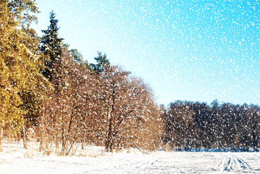 Similar image 10915545