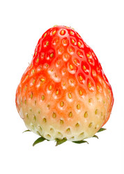 Similar image 10911839