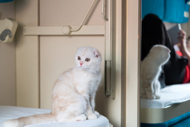 Similar image 10914734