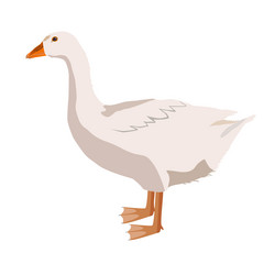 Similar image 10911679