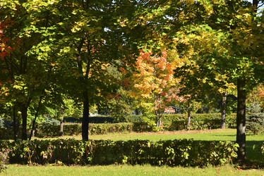 Similar image 10914482