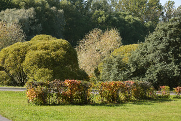 Similar image 10914494