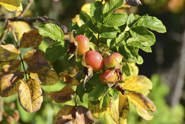 Similar image 10914496