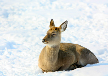 Similar image 10914155