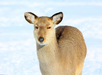 Similar image 10914159