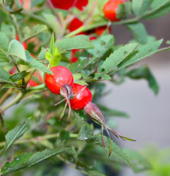 Similar image 10914161