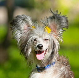 Similar image 10914163