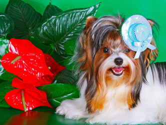 Similar image 10914164