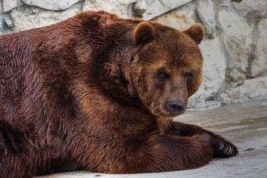 Similar image 10913969