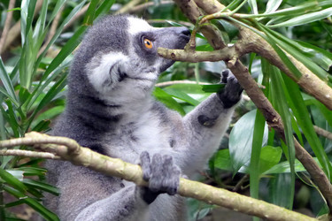 Similar image 10914168