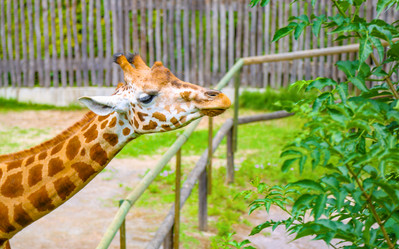 Similar image 10914326