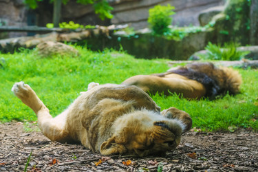 Similar image 10914309