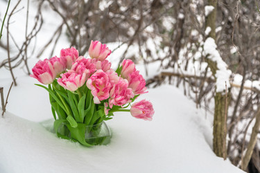 Similar image 10914318