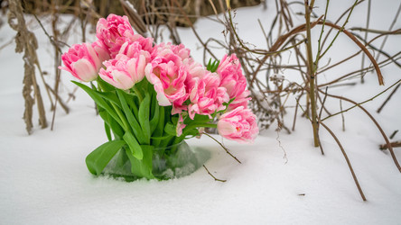 Similar image 10914320