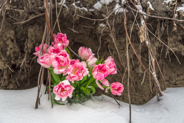 Similar image 10914323