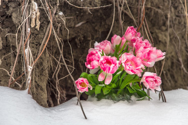 Similar image 10914324