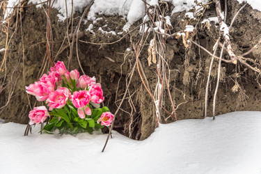 Similar image 10914325