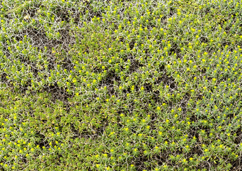 Similar image 10914199