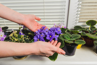 Similar image 10914532