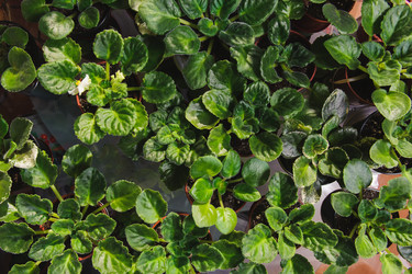 Similar image 10914533