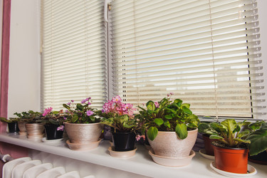 Similar image 10914534