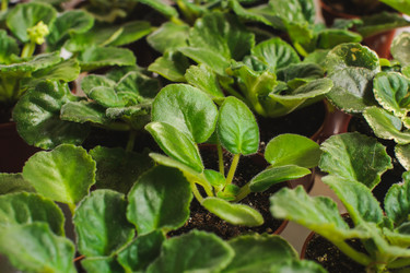 Similar image 10914537