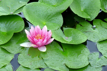 Similar image 10914170