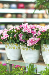 Similar image 10914343