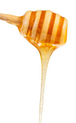 Similar image 10915298