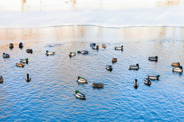 Similar image 10914901