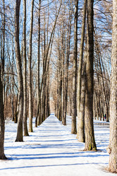 Similar image 10914933