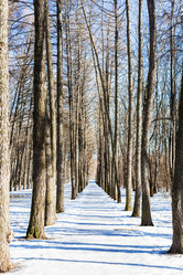 Similar image 10914935