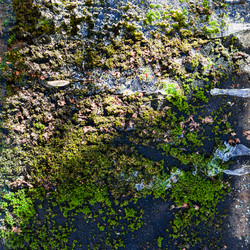 Similar image 10915014