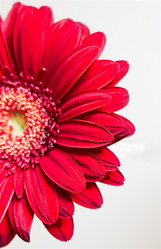 Similar image 10914076