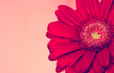 Similar image 10914077