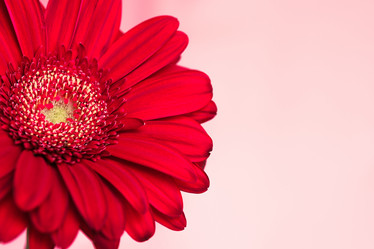 Similar image 10914078