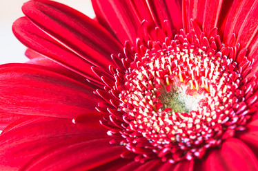 Similar image 10914079