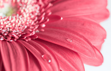 Similar image 10914080