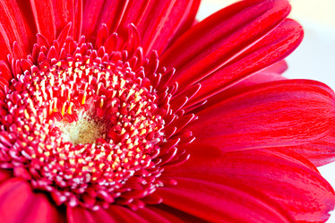 Similar image 10914081