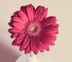 Similar image 10914082