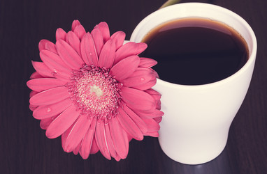 Similar image 10914083