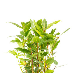 Similar image 10917242