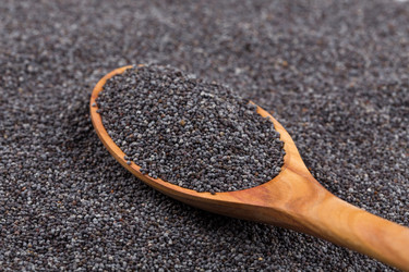 Similar image 10917266