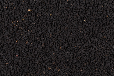 Similar image 10917317