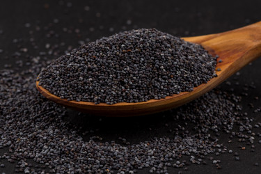 Similar image 10917325