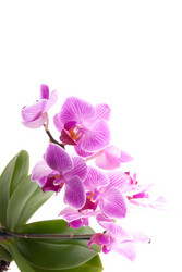 Similar image 10915602