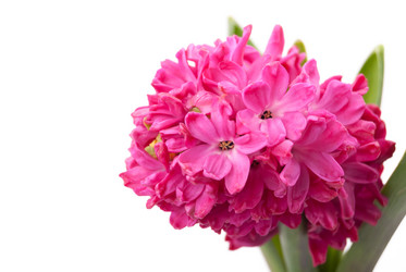 Similar image 10915609